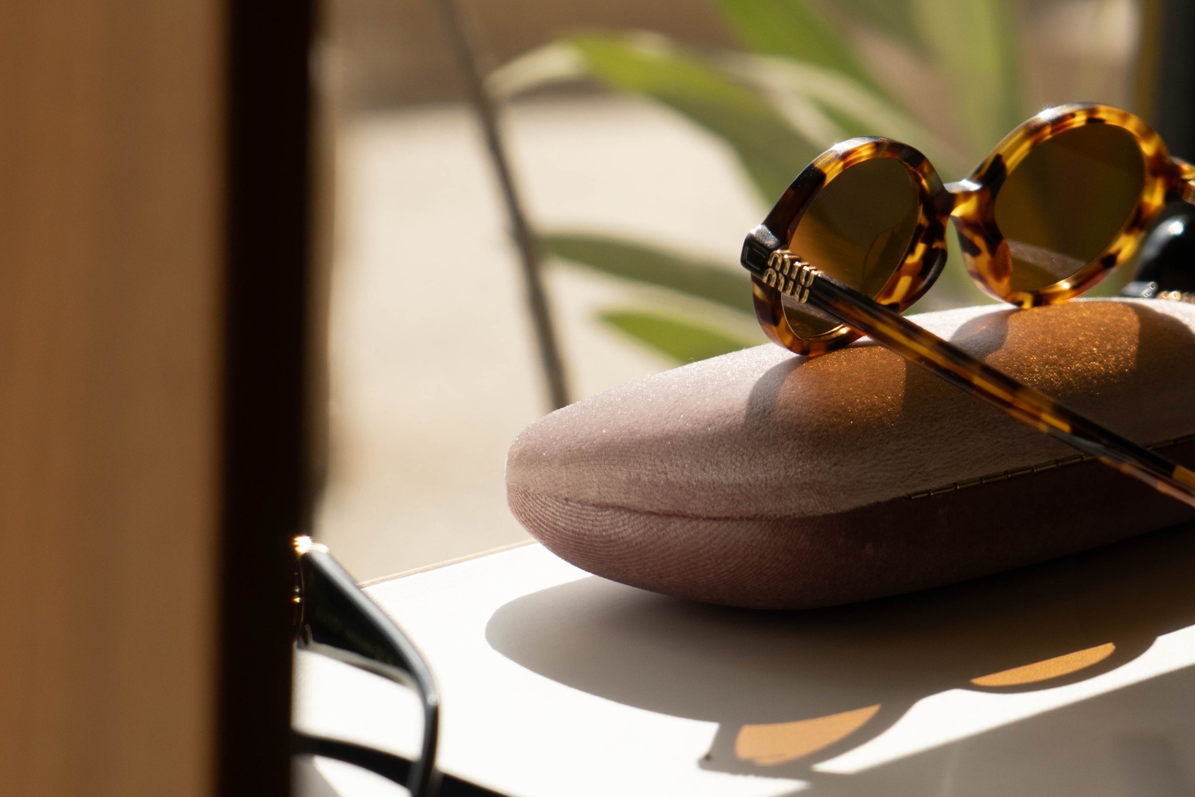 Eye Society — sunglasses and their case in the sun