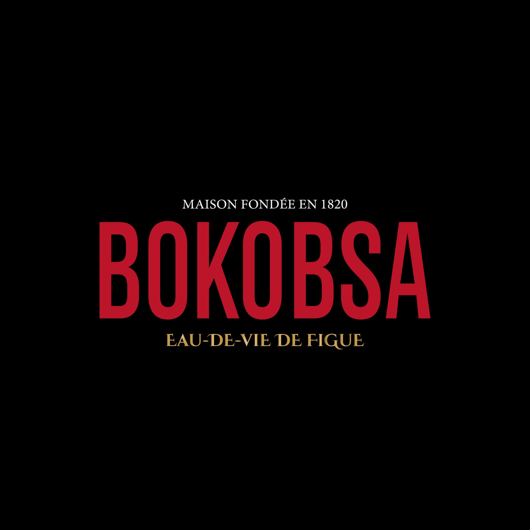Bokobsa — logo on black