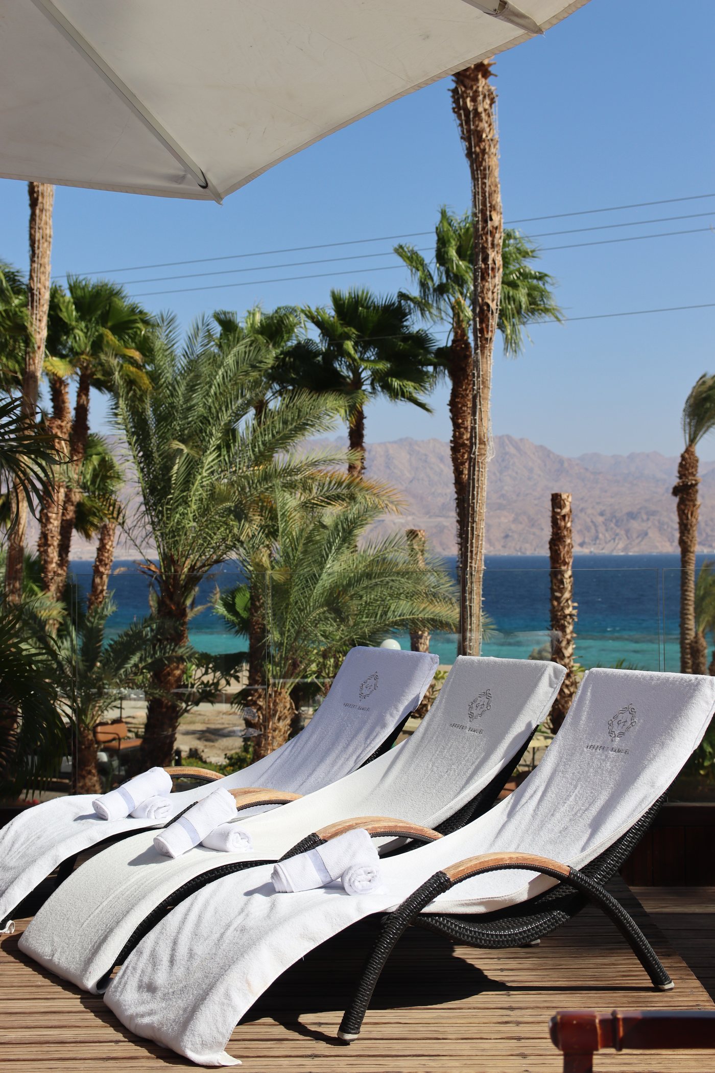 Loungers laid out under the palms