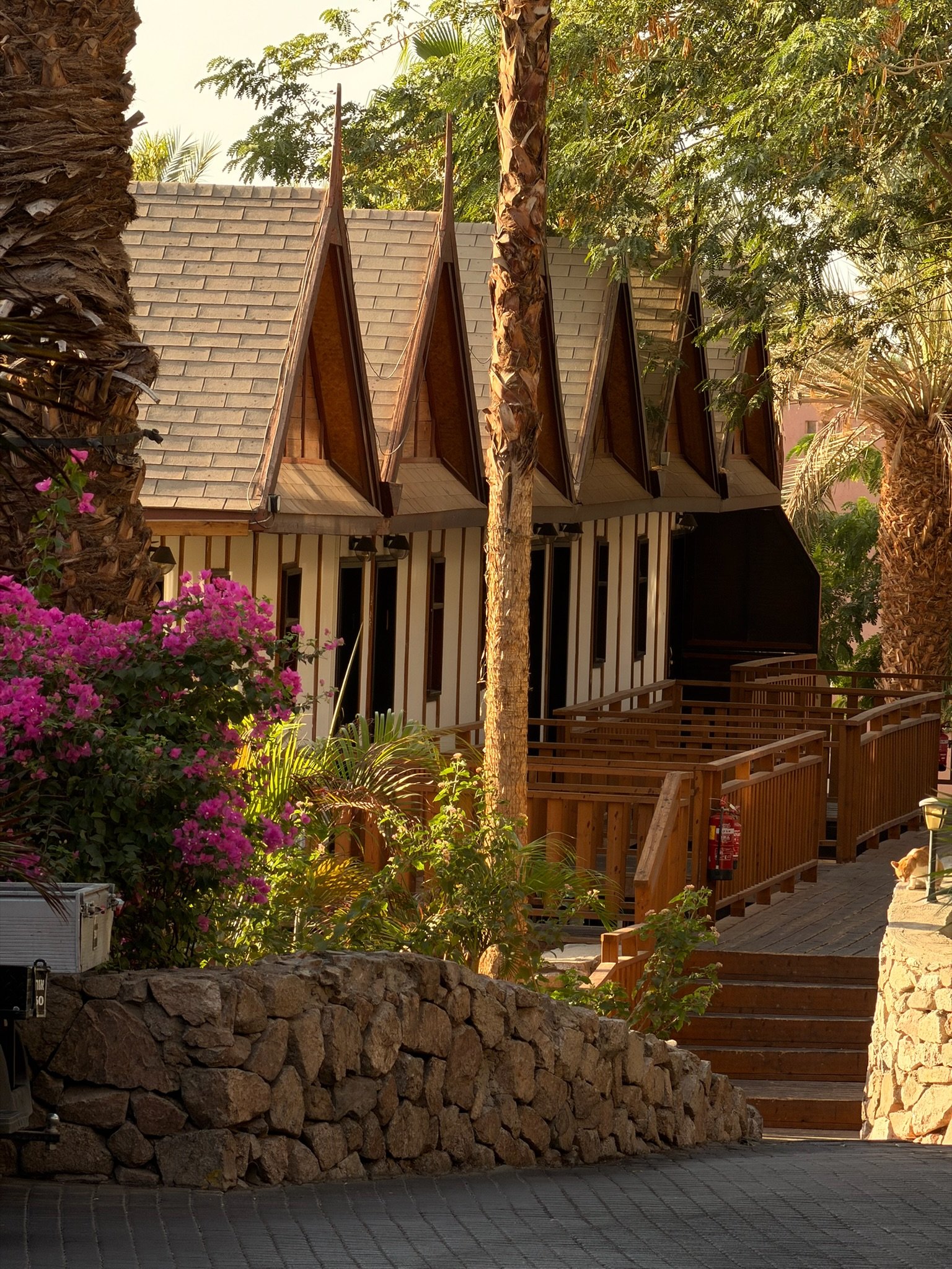 The wooden lodges among the bougainvillea